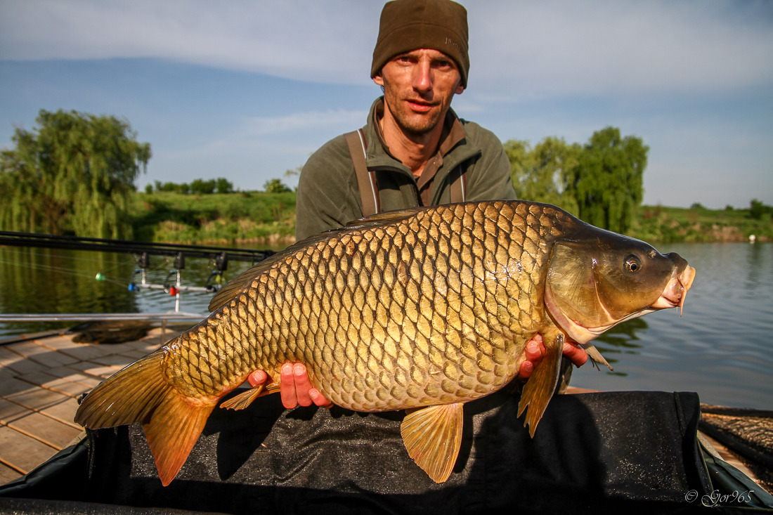 2015 - Hermes Peris Cupa Pescarilor